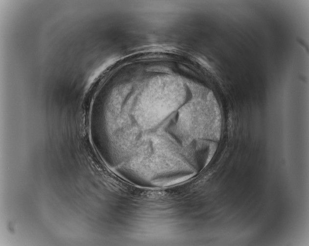 X0000101961310200808081519