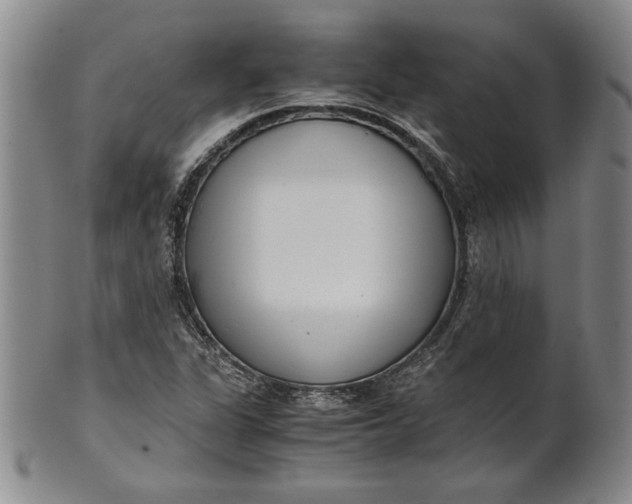 X0000101961311200808081519