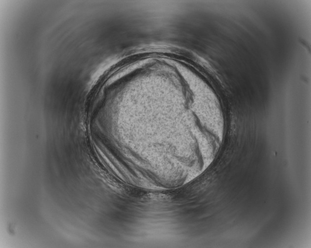 X0000101961312200808081519