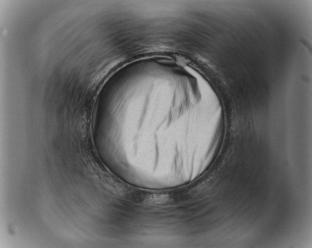 X0000101961313200808081519