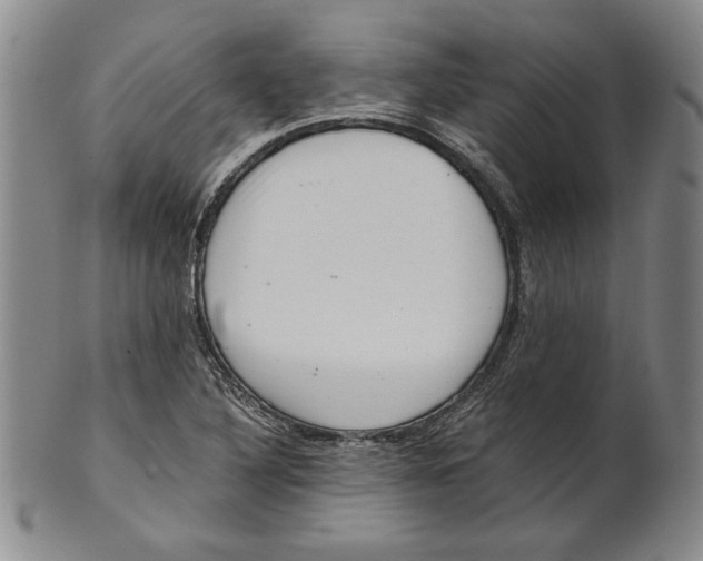 X0000101961316200808081519