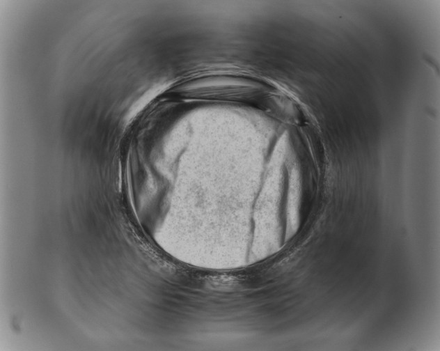 X0000101961317200808081519