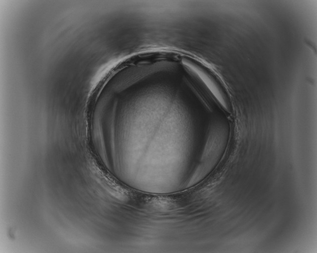 X0000101961319200808081519