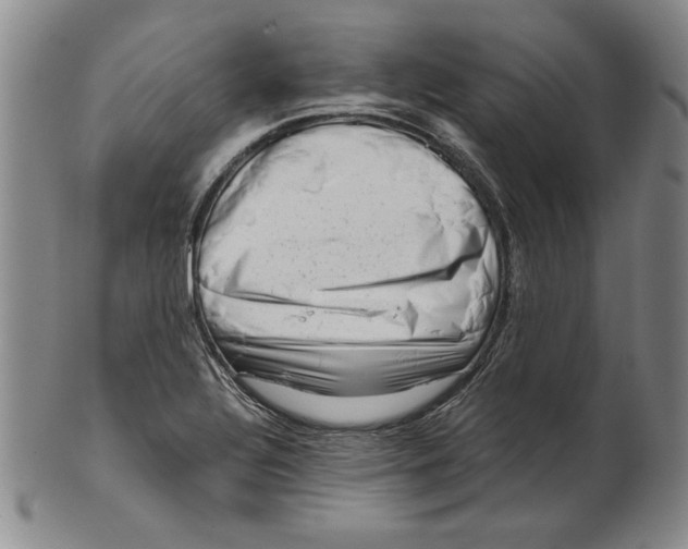 X0000101961320200808081519