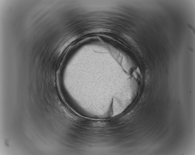 X0000101961321200808081519