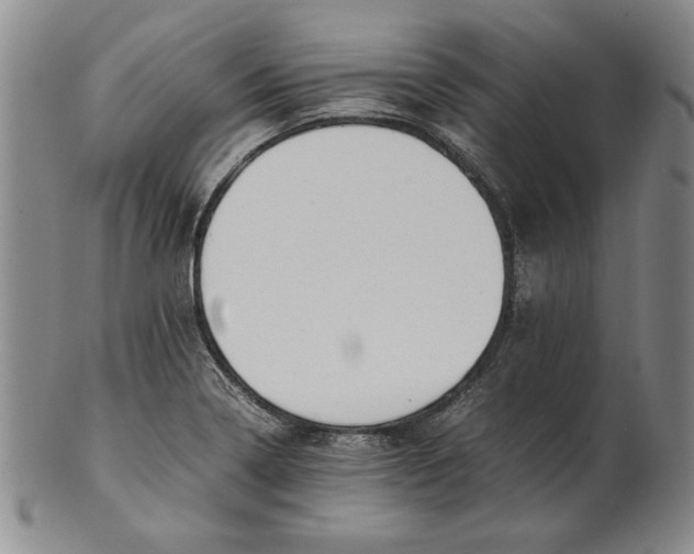 X0000101961322200808081519