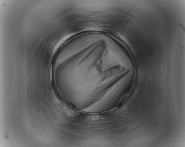 X0000101961323200808081519