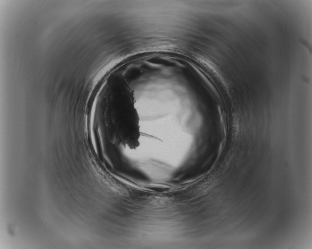 X0000101961324200808081519