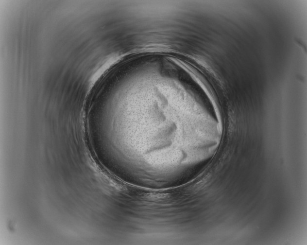 X0000101961325200808081519