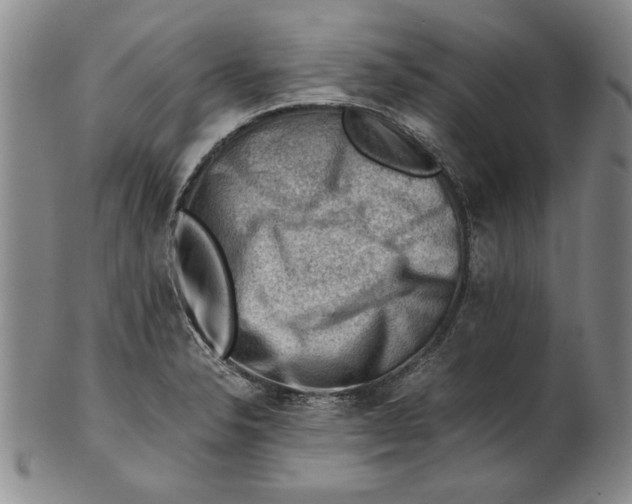 X0000101961326200808081519