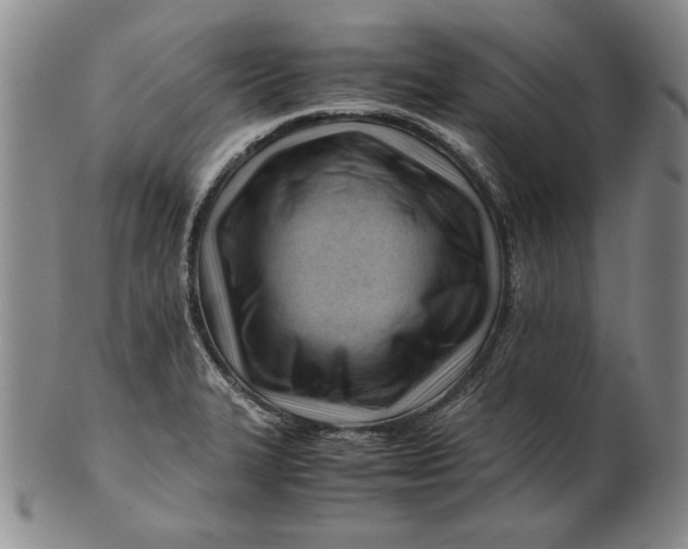 X0000101961327200808081519