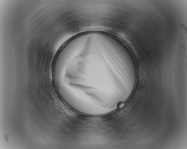 X0000101961328200808081519