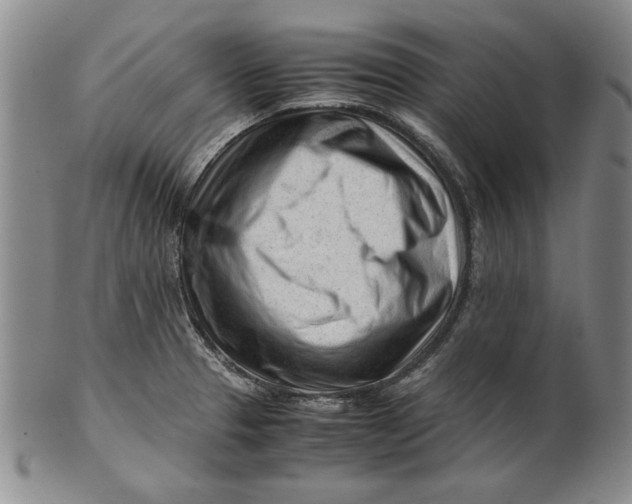 X0000101961329200808081519