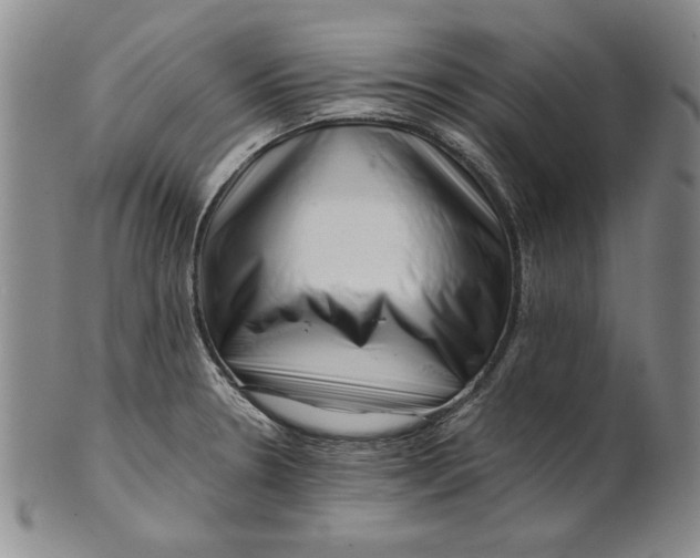 X0000101961330200808081519