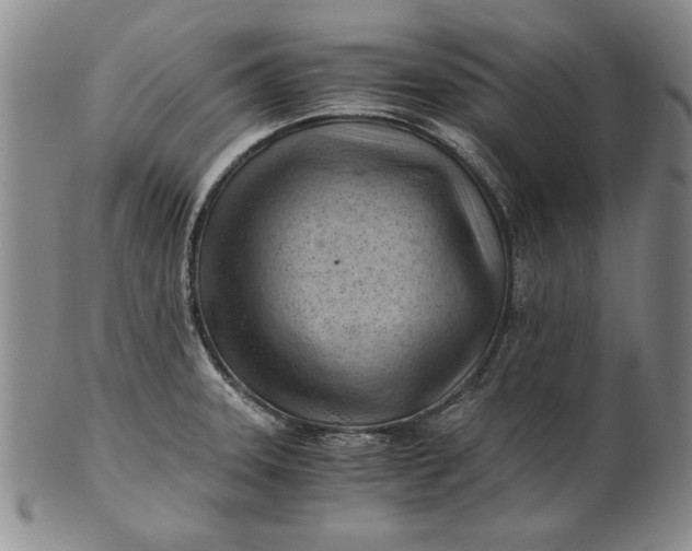 X0000101961331200808081519