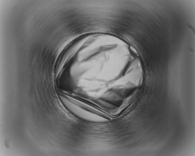 X0000101961332200808081519