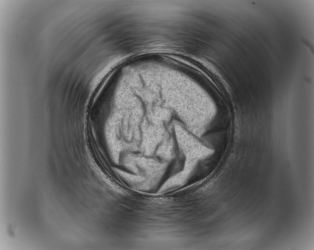 X0000101961333200808081519