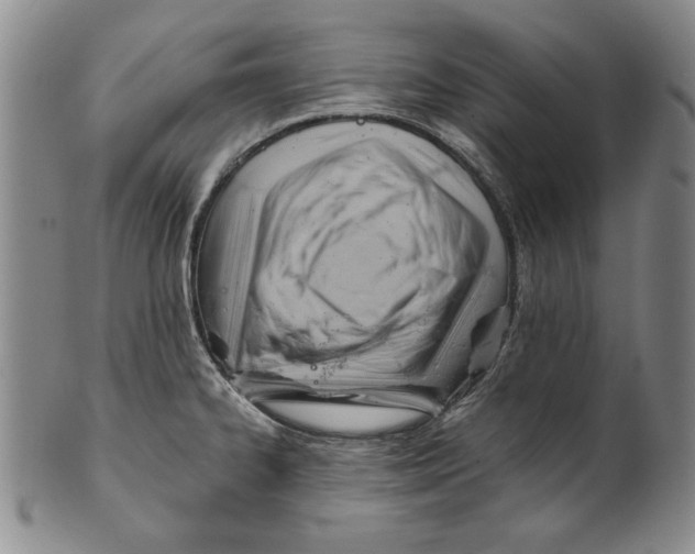 X0000101961334200808081519