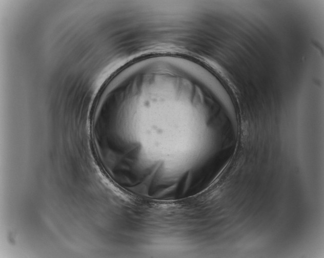 X0000101961335200808081519