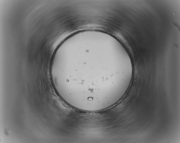 X0000101961336200808081519