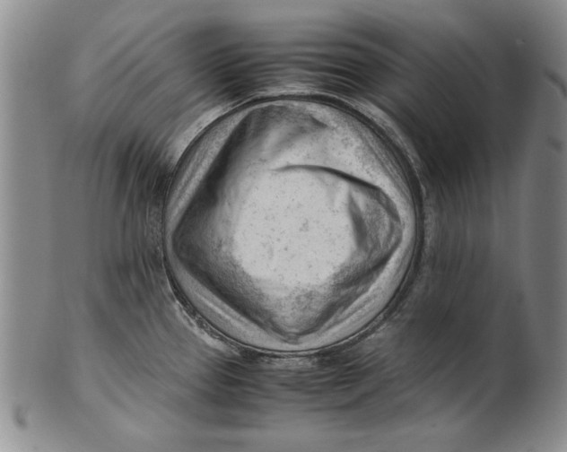 X0000101961337200808081519