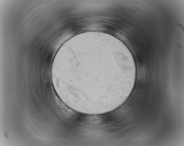 X0000101961338200808081519