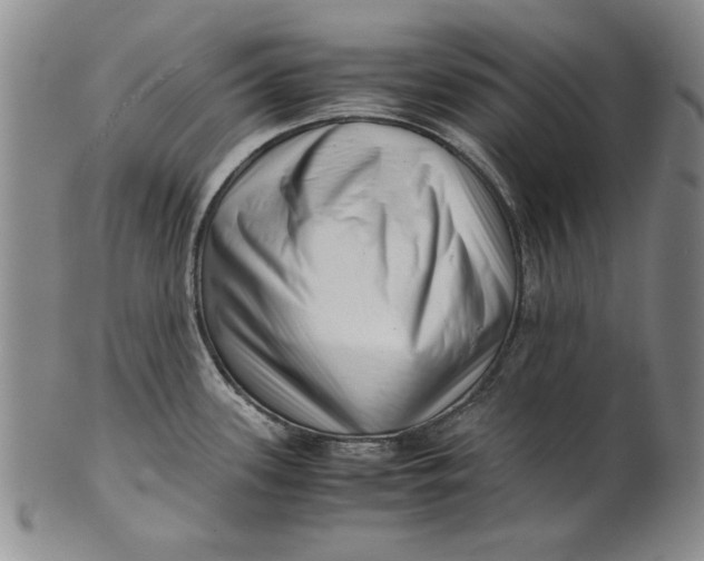 X0000101961339200808081519