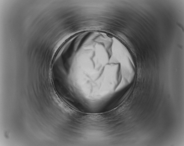 X0000101961340200808081519