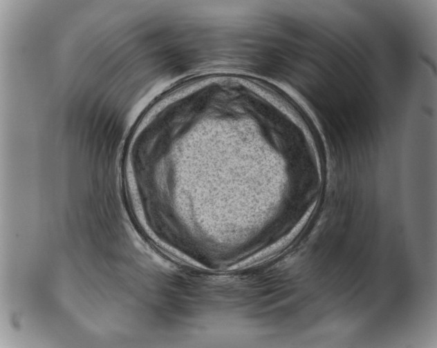 X0000101961341200808081519