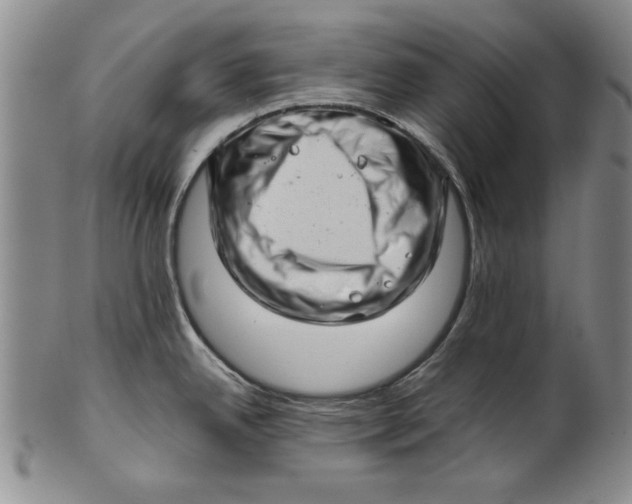 X0000101961342200808081519