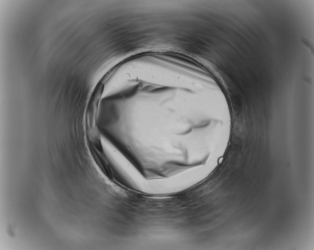 X0000101961343200808081519