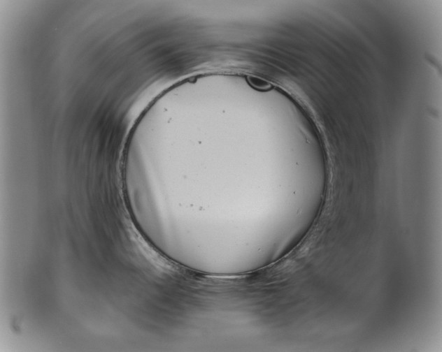 X0000101961344200808081519