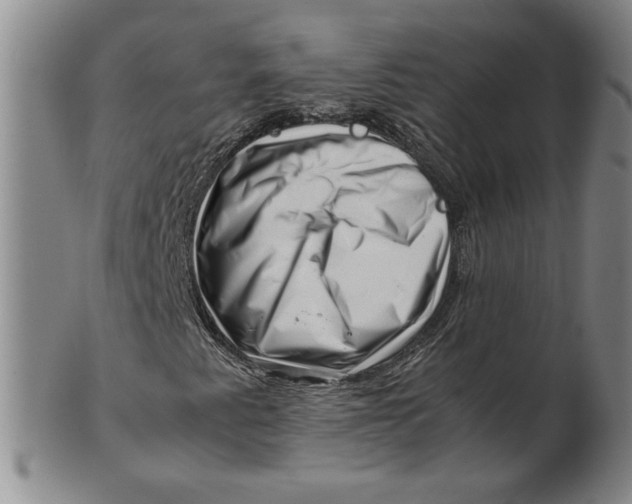 X0000101961345200808081519