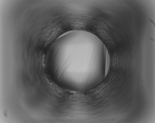 X0000101961346200808081519