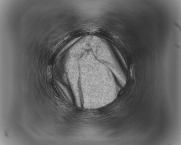 X0000101961347200808081519