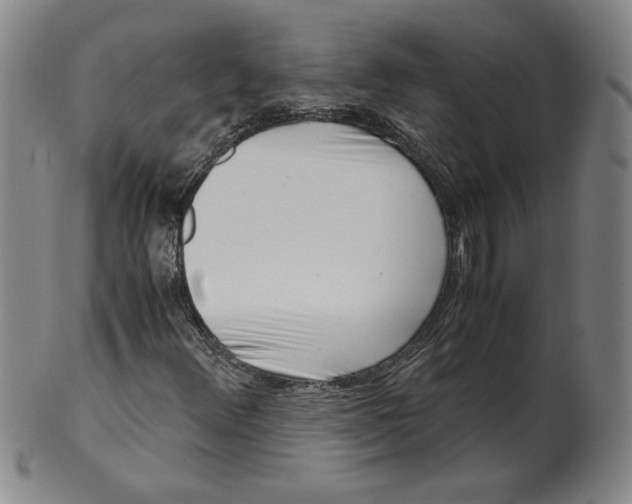 X0000101961348200808081519