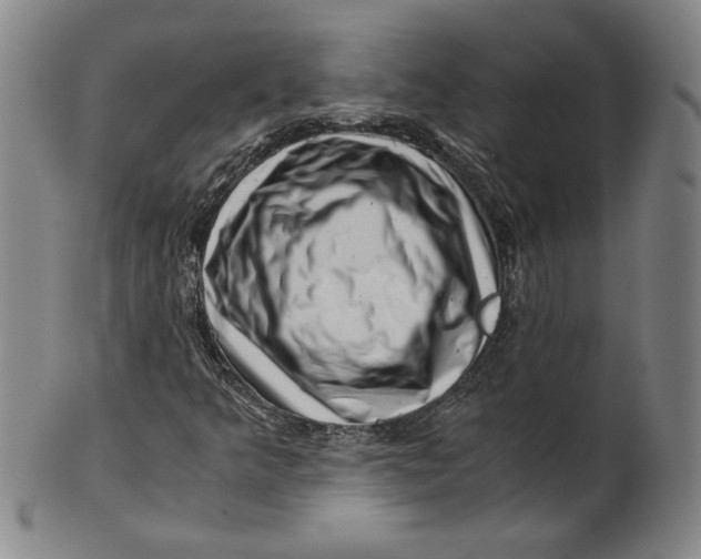 X0000101961349200808081519