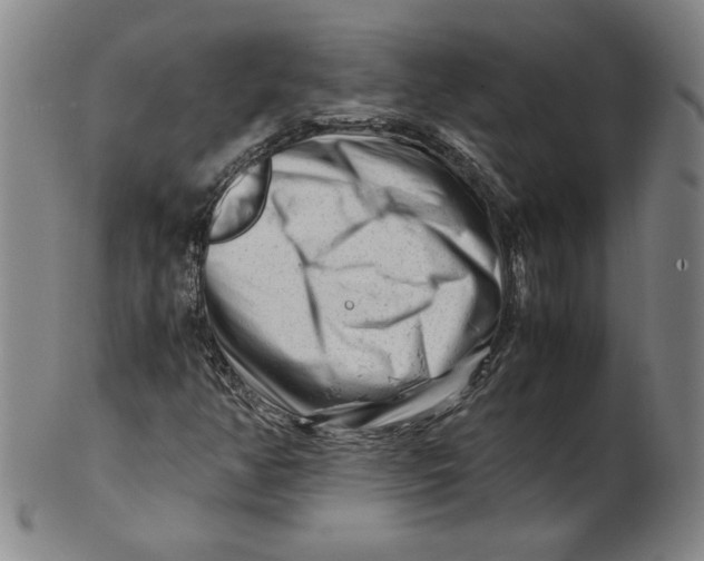 X0000101961350200808081519