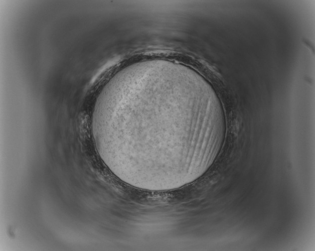 X0000101961351200808081519