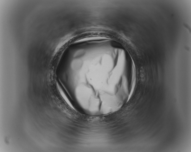 X0000101961352200808081519