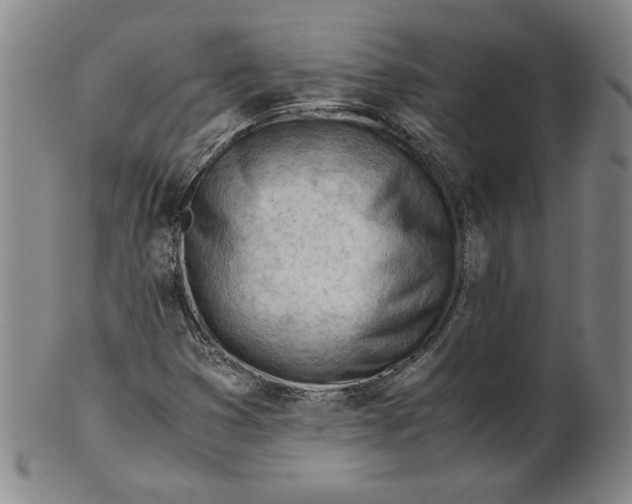 X0000101961353200808081519