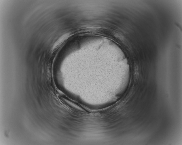 X0000101961354200808081519