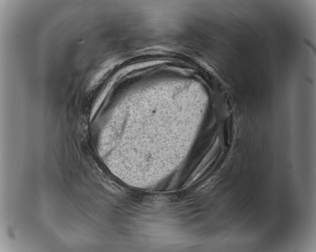 X0000101961355200808081518