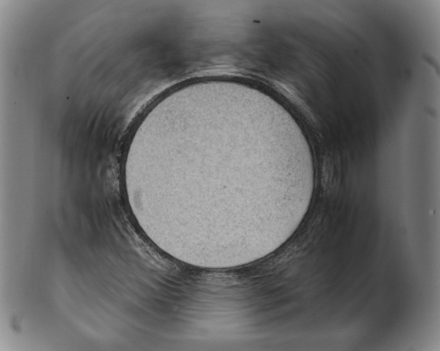 X0000101961356200808081518