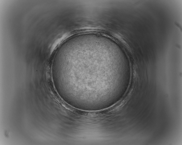 X0000101961357200808081518