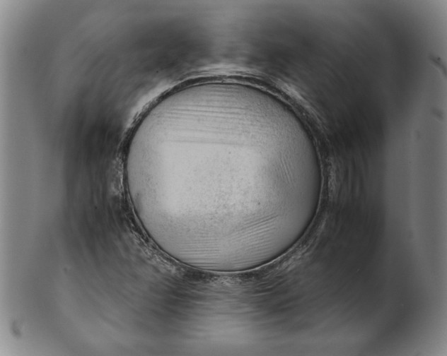 X0000101961358200808081518