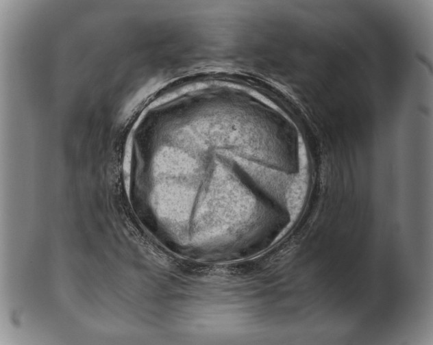 X0000101961359200808081518