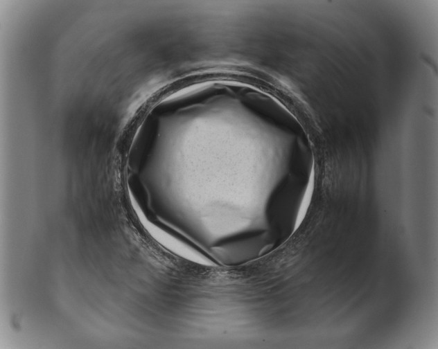 X0000101961360200808081518