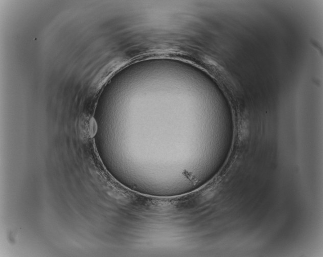 X0000101961361200808081518