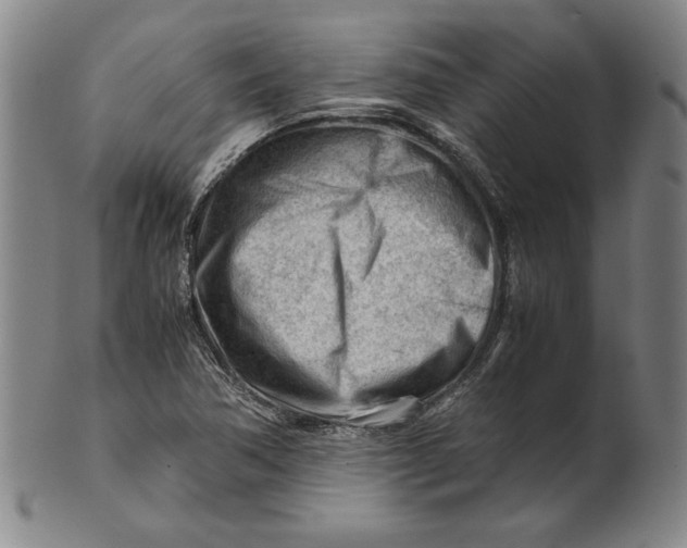 X0000101961362200808081518